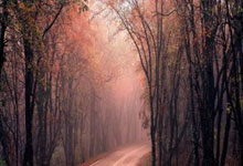 [天下足球]拜仁大胜 凯恩进球创纪录.