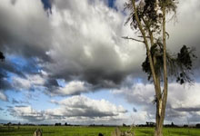 赔率前瞻：众将回归！数据力挺曼城主场拔刺.