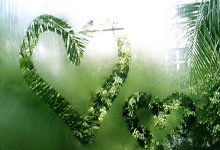 开云：最炫民族风：“摔”的是力量与技巧，“跤”的是朋友中国新闻网.